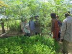 Ferme agricole de l'Association Yelemani : Visite guidée avec des étudiants en politique et pratique du développement