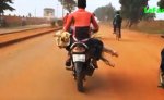 Transport de la viande à Ouagadougou