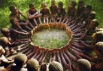 Médiocratie : L'humanisme est-il un luxe au pays des hommes dignes et pauvres ?