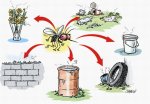 La dengue au Burkina Faso : Quelles solutions pour réduire l'incidence de la maladie ?