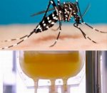Epidémie de dengue : Le ministère de la santé répond à l'UPC