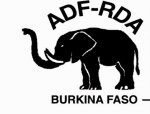 Grève du SYNTSHA : Pour l'ADF-RDA, l'absence de service minimum est une démission de l'Etat